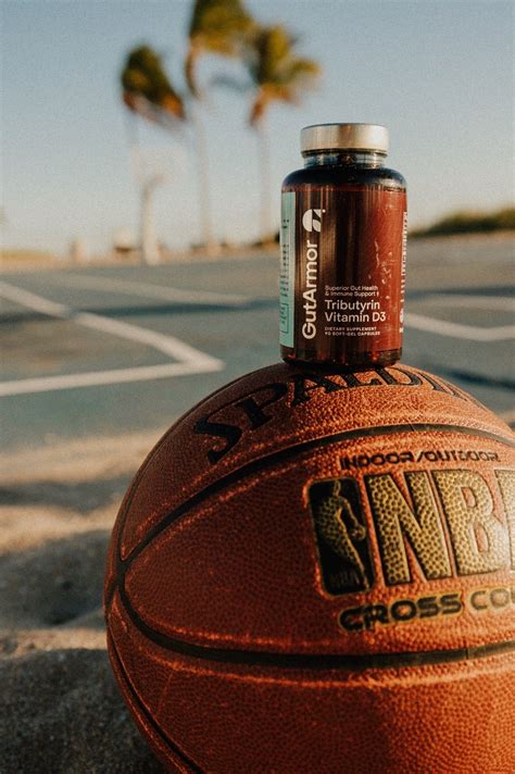 How To Increase Butyrate Producing Bacteria – GutArmor