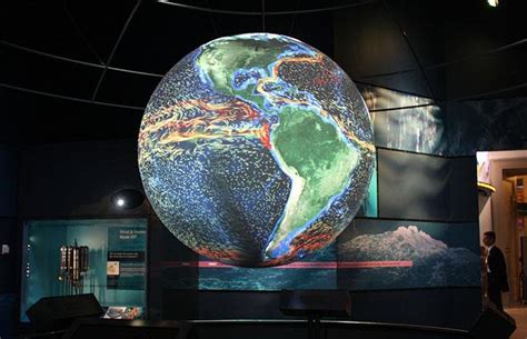 sea sights  smithsonians ocean hall