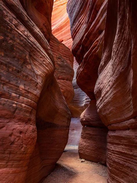 11 Incredible Escalante Hikes Insiders Utah