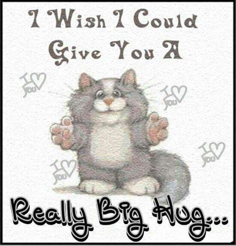 Wish I Could Give You A Big Hug Hug Quotes Hugs And Kisses Quotes