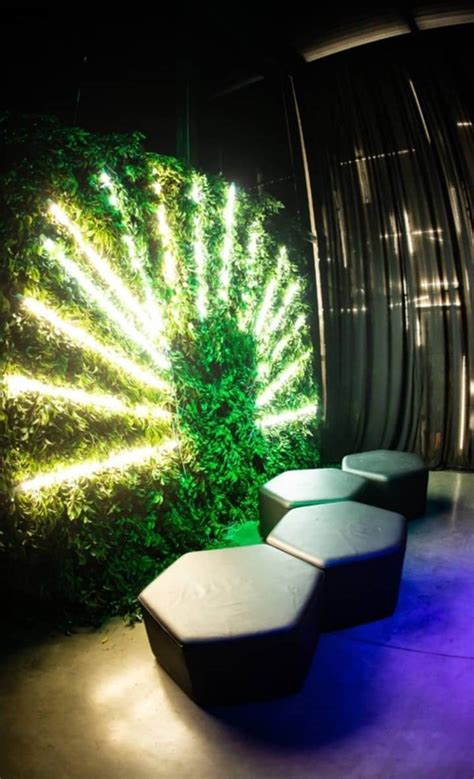 Como Criar Espaços Instagramáveis Para Eventos Gold Vision Brasil