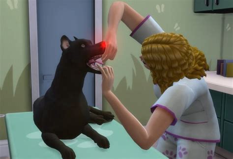 Les Sims 4 Chiens et Chats La Clinique vétérinaire Daily Sims