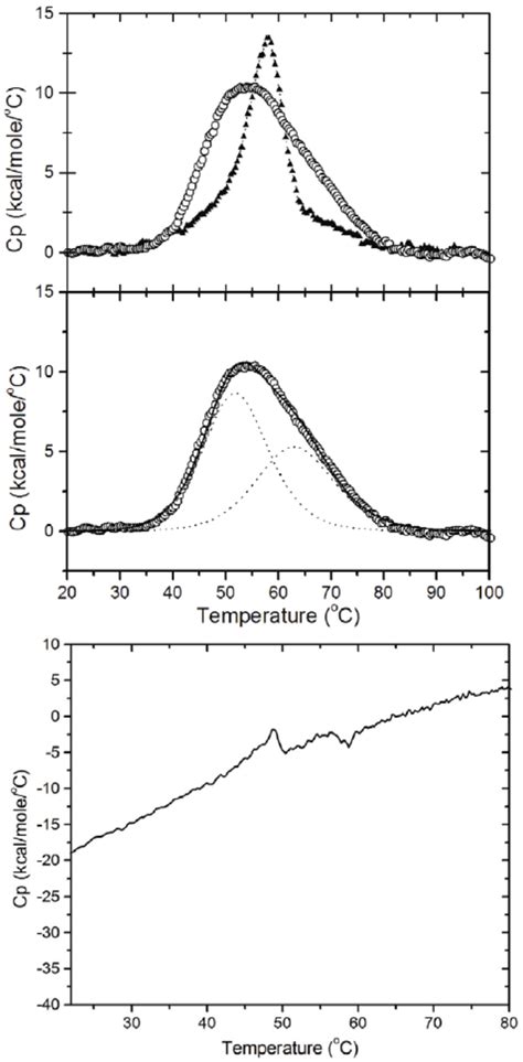 Thermal Denaturation Profile Of CHOP Measured Using DSC Top Panel