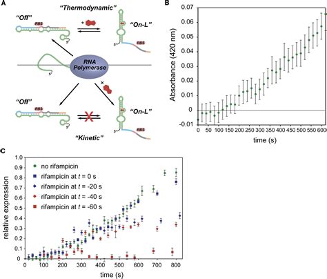 A High Throughput Screen For Synthetic Riboswitches Reveals Mechanistic