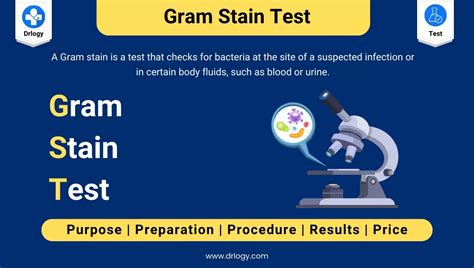 Gram Stain Test: Meaning, Types, Purpose & Results - Drlogy