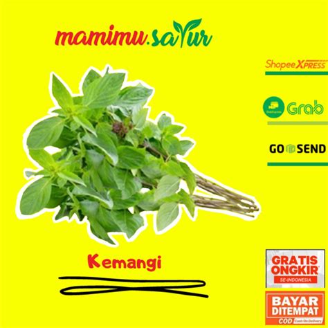 Jual Kemangi Lalapan Satu Ikat Kemangi Segar Ikat Daun Kemangi Fresh