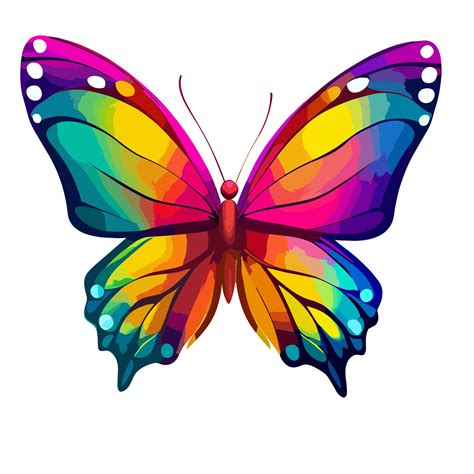 Butterfly Transparent Background 25165907 Png