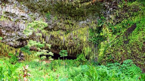 Fern Grotto And Wailua River Two Kauai Activities Kauai Vacation