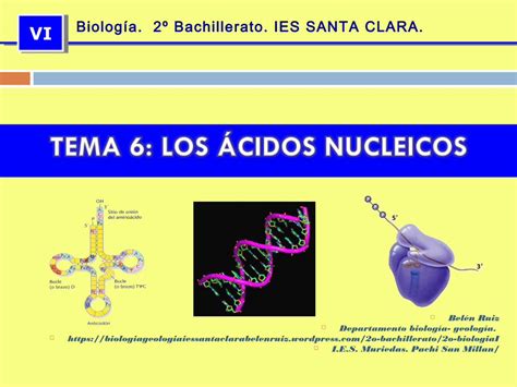 Pdf Tema Los Acidos Nucleicos Dokumen Tips