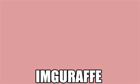 Its More Than Imguraffe  On Imgur