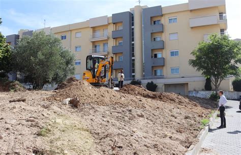 Câmara de Lamego planta árvores no meio urbano Notícias de Viseu