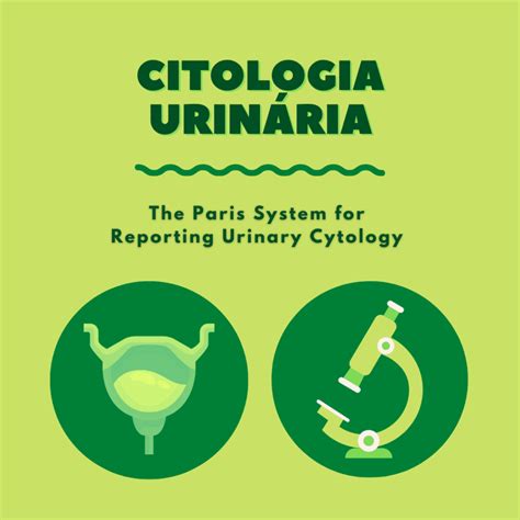 Citologia Urinária Sistema Paris PathoLovers