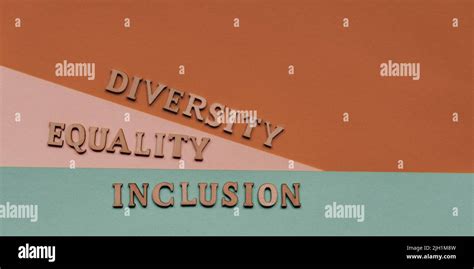 DIVERSIDAD DE MENSAJES INCLUSIÓN IGUALDAD Concepto de palabras