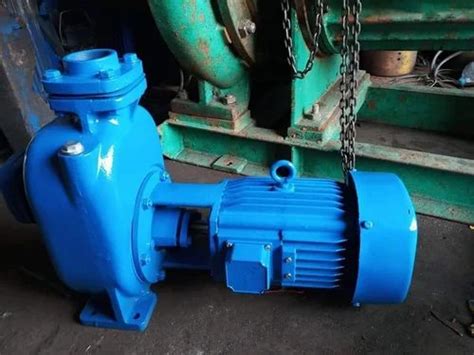 Globe Star Single Phase Mono Block Pump Maximum Discharge Flow Less