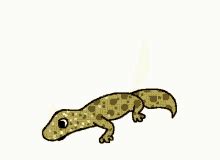 Dancing Lizard GIFs | Tenor