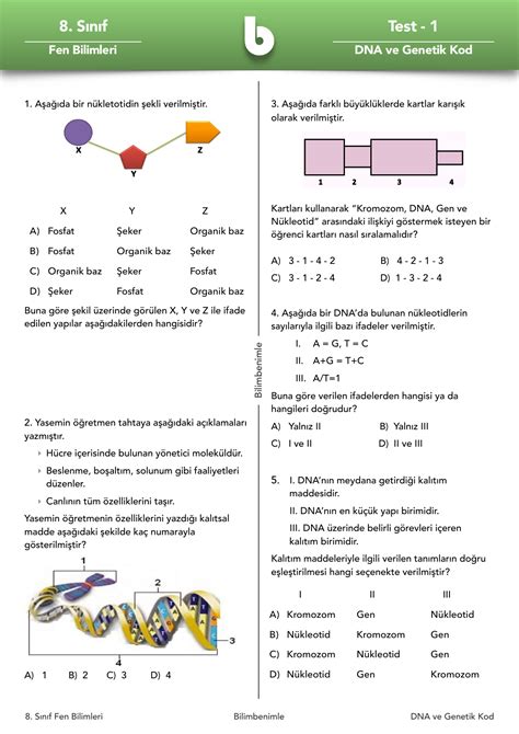 8 Sınıf Fen Dna Ve Genetik Kod Test