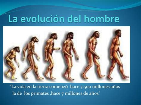 Ppt La Evolución Del Hombre Powerpoint Presentation Free Download