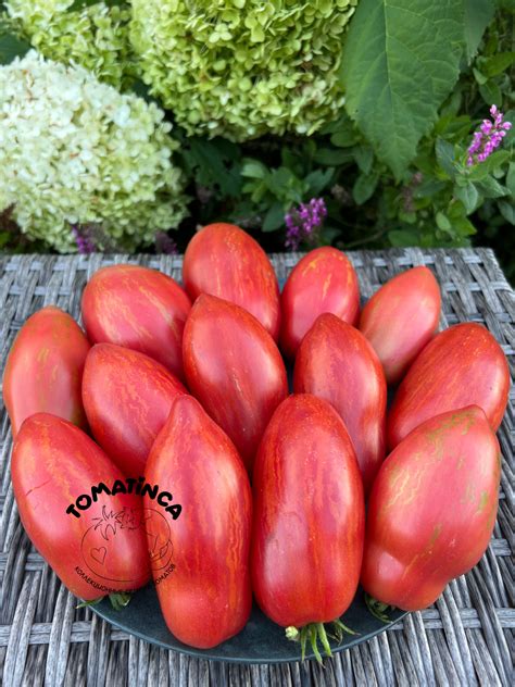 Гном Леди Мадонна (Lady Madonna) – Tomatinсa.ru