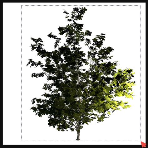 3d Trees In Obj Format
