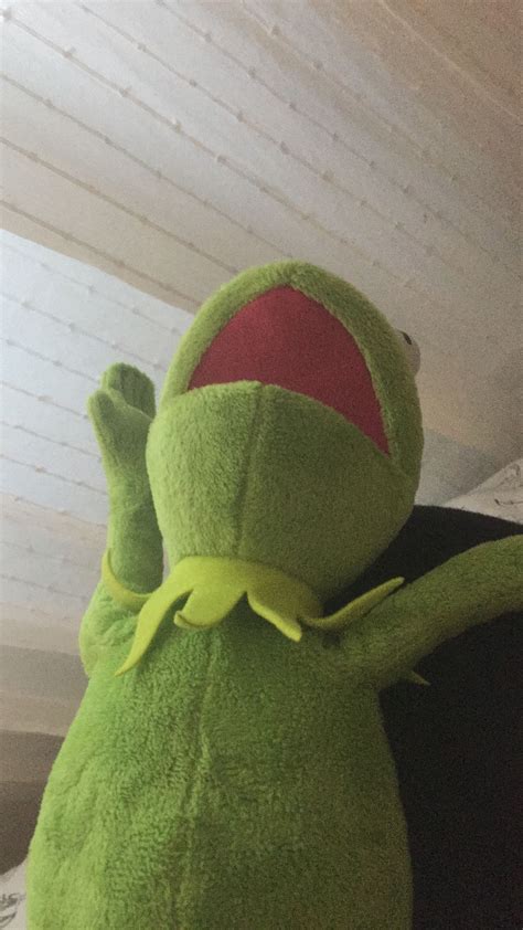 Pin on kermit