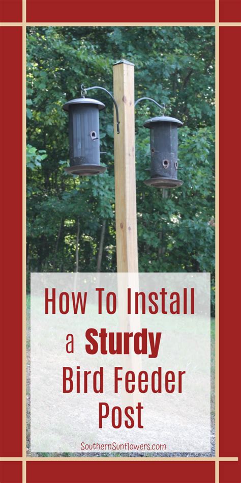 two bird feeders with the words how to install a study bird feeder post