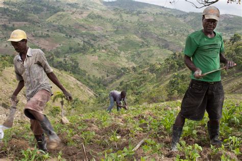 Agroecological farming in Haiti: A poverty crisis solution - Altus Impact