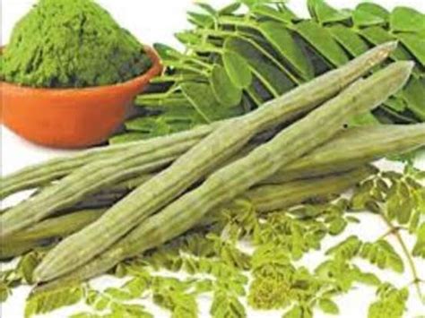 Sahjan Leaf Benefits सेहत के लिए रामबाण है सहजन की पत्तियां पहुंचाती है ये गजब का लाभ जानिए यहां