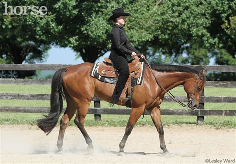 Western Pleasure Training, News, and Articles | Horse Illustrated