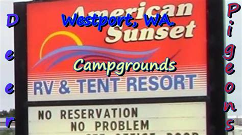 Westport Wa Rv Park Youtube