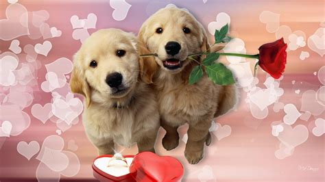 Valentines Animals Desktop Wallpapers - Wallpaper Cave