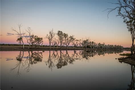 Nature - Western Downs Queensland