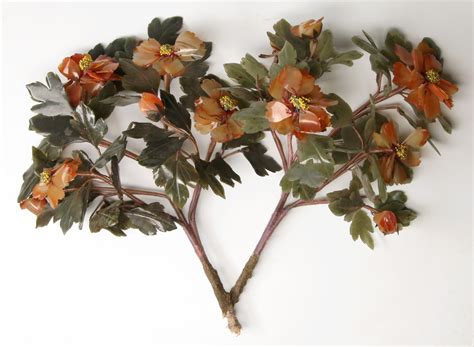 jade tree for sale 2