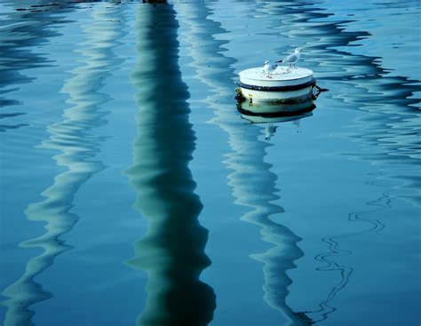 L Isola Dei Gabbiani Solo Per I Tuoi Occhi The Mind Away Flickr