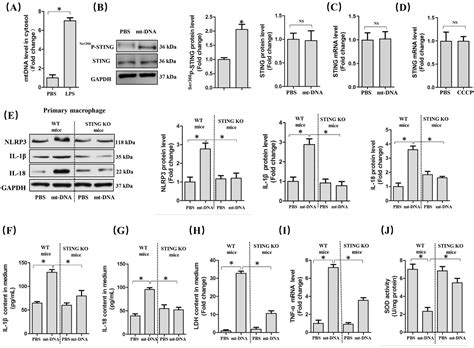 Cytosolic Dna‐sting‐nlrp3 Axis Is Involved In Murine Acute Lung Injury