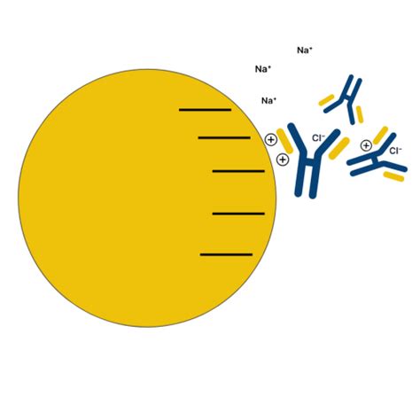 Laboratoire D Analyses Par Chromatographie Changeuse Dions Filab