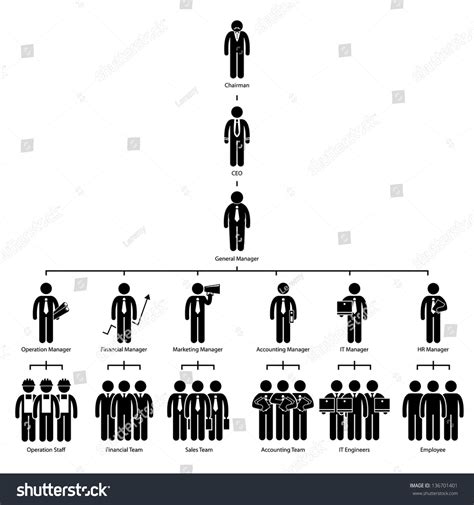 Organization Chart Tree Company Corporate Hierarchy Stock Vector
