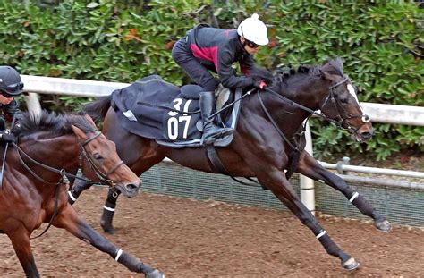 【京都2歳s】エリキングが無傷3連勝へ好仕上がりアピール 中内田調教師「いい状態で迎えられる」 Umatoku 馬トク