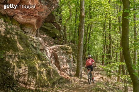 Senior Woman With Mountain Bike In The Palatinat Forest