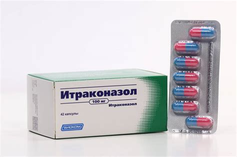 Итраконазол для кошек: инструкция по применению