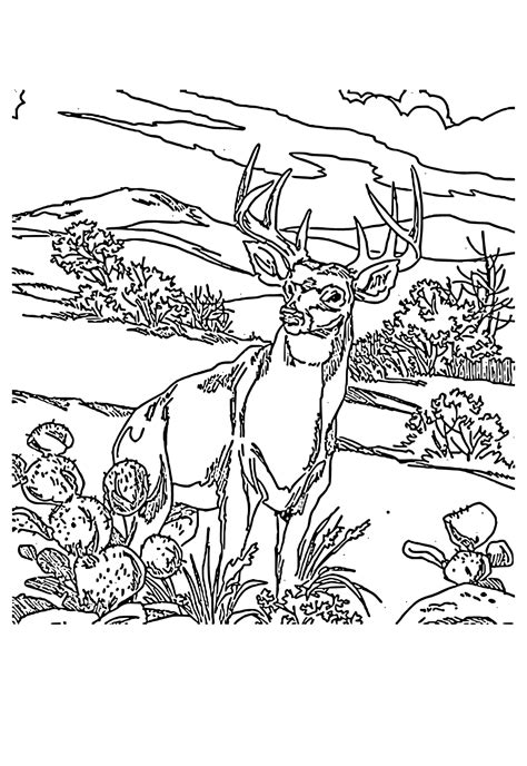 Detailed Landscape Coloring Pages For Adults