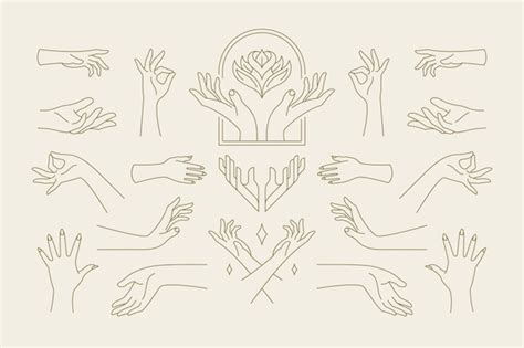 Premium Vector Female Hands Gestures Collection Of Line Art Hand