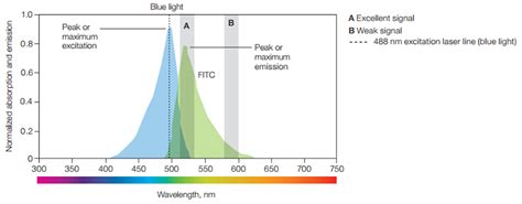 Fluorescence Flow Cytometry Guide Bio Rad