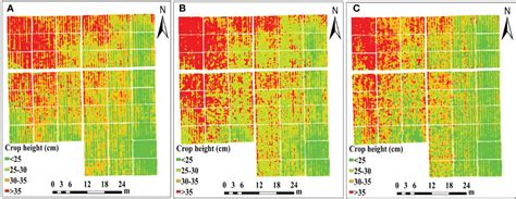 Frontiers Estimation Of The Nitrogen Content Of Potato Plants Based On Morphological