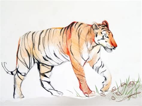 Zeichenkurse für Kinder – Kreative Online-Zeichenschule