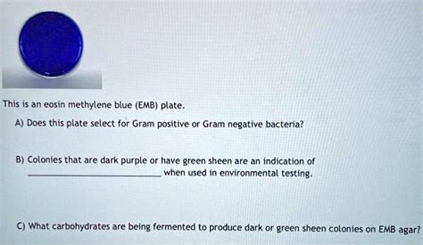 SOLVED: This is an eosin methylene blue (EMB) plate. Does this plate select for Gram positive or ...