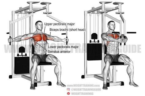 Machine Fly Exercise Instructions And Video Weight Training Guide