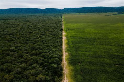 Fundación Greenpeace Argentina Desmontes y desalojos en Santiago del