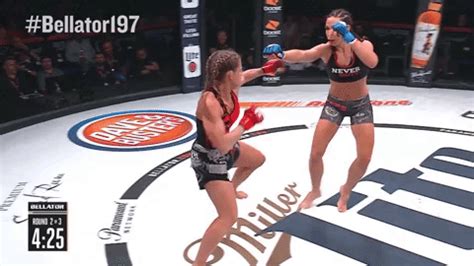 Mma Combo By Bellator Find Share On Giphy