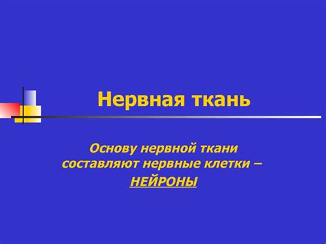Нервная система. Спинной мозг - презентация онлайн