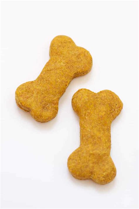 Healthy Pumpkin Dog Treats | B. Britnell